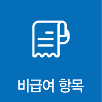 비급여항목